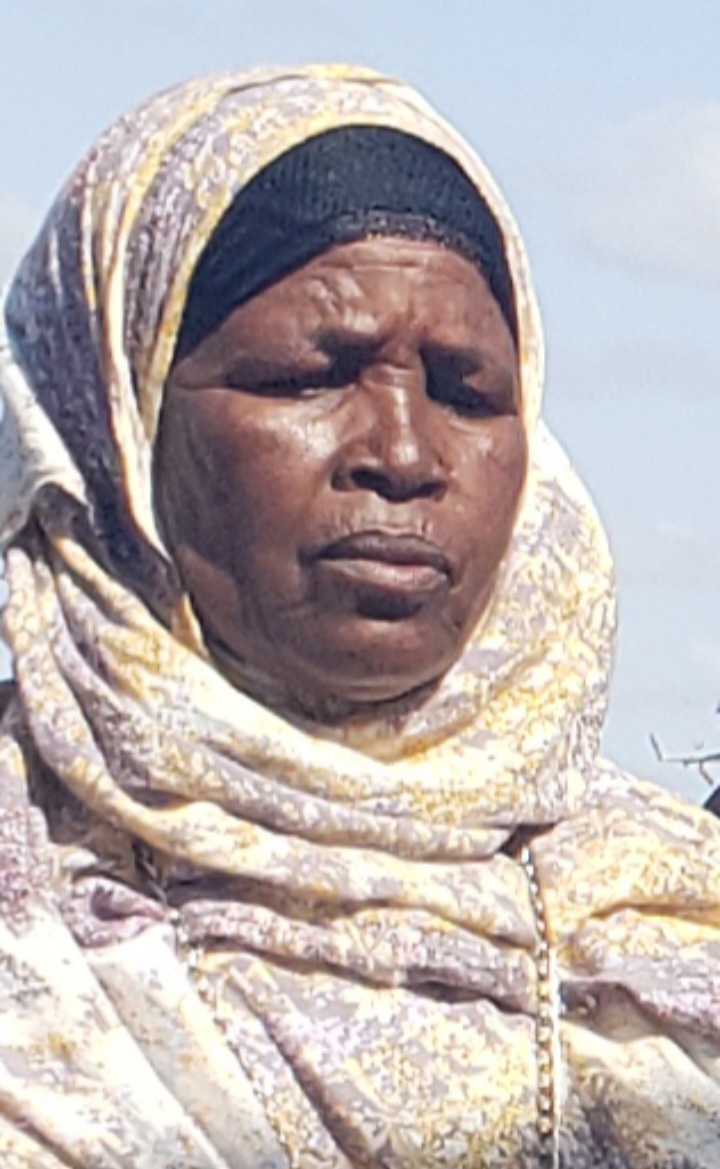 Salin nabadiid barkhadle