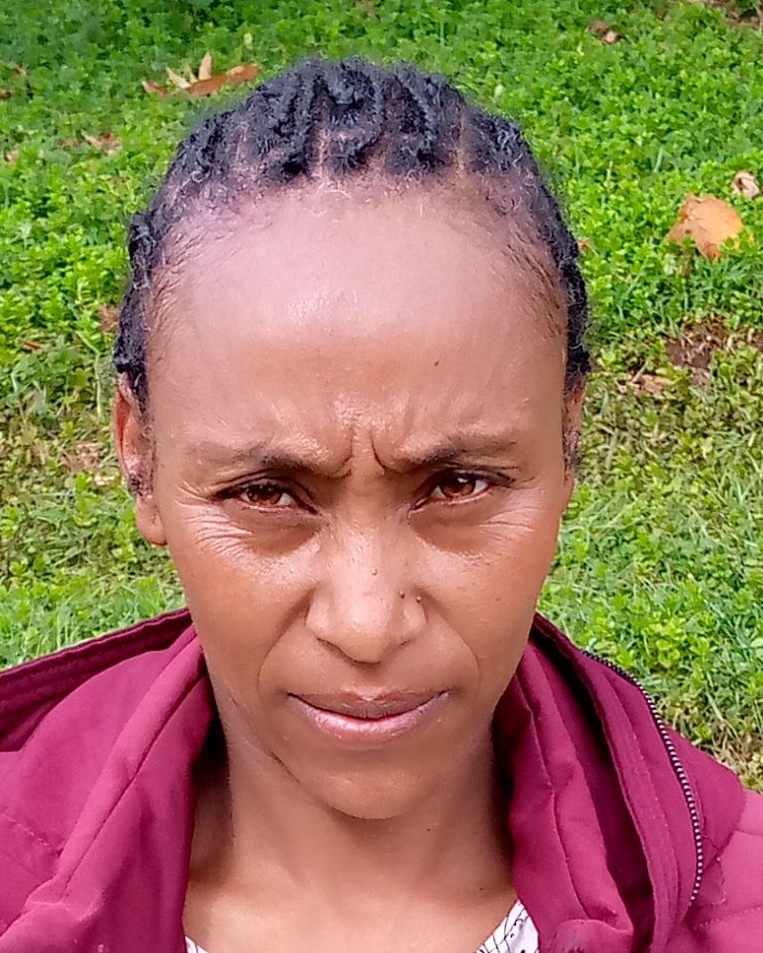 Lotu Kottoolaa Galchuu