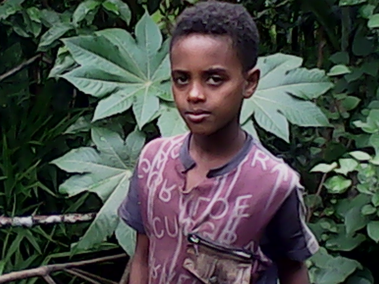 Firaol Tesfaye Regasa