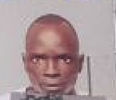 ሉል  ጋች