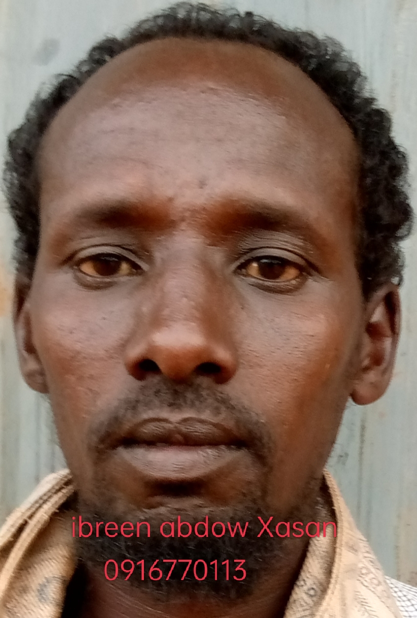 Ibreen abdow Xasan 
