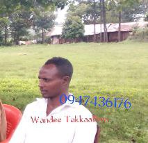 Wande Takela