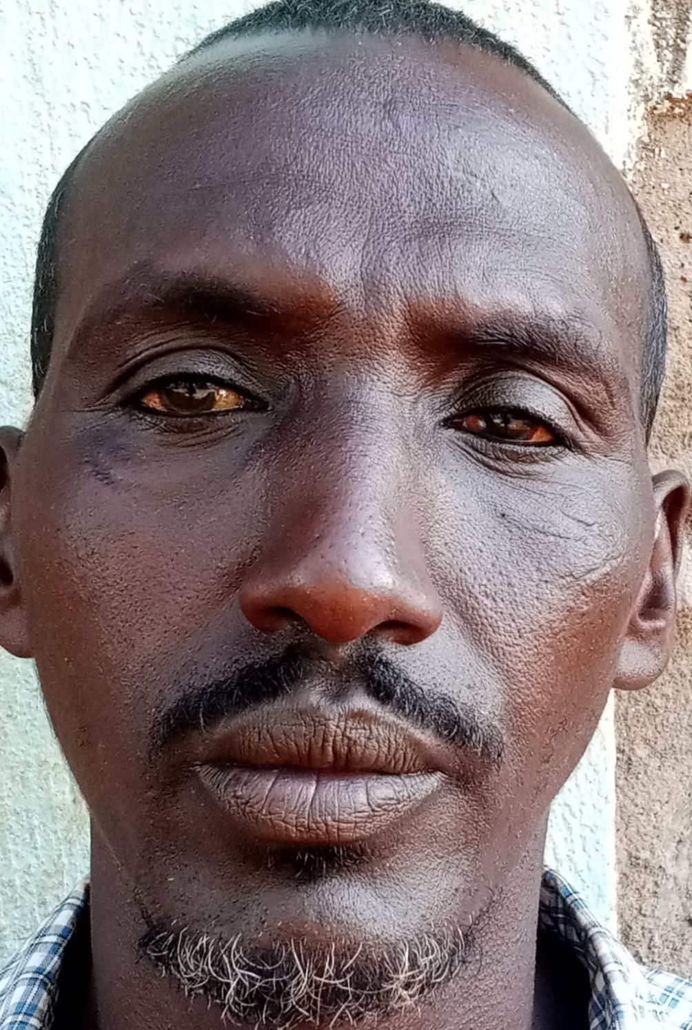 Isaaq guyo jilo