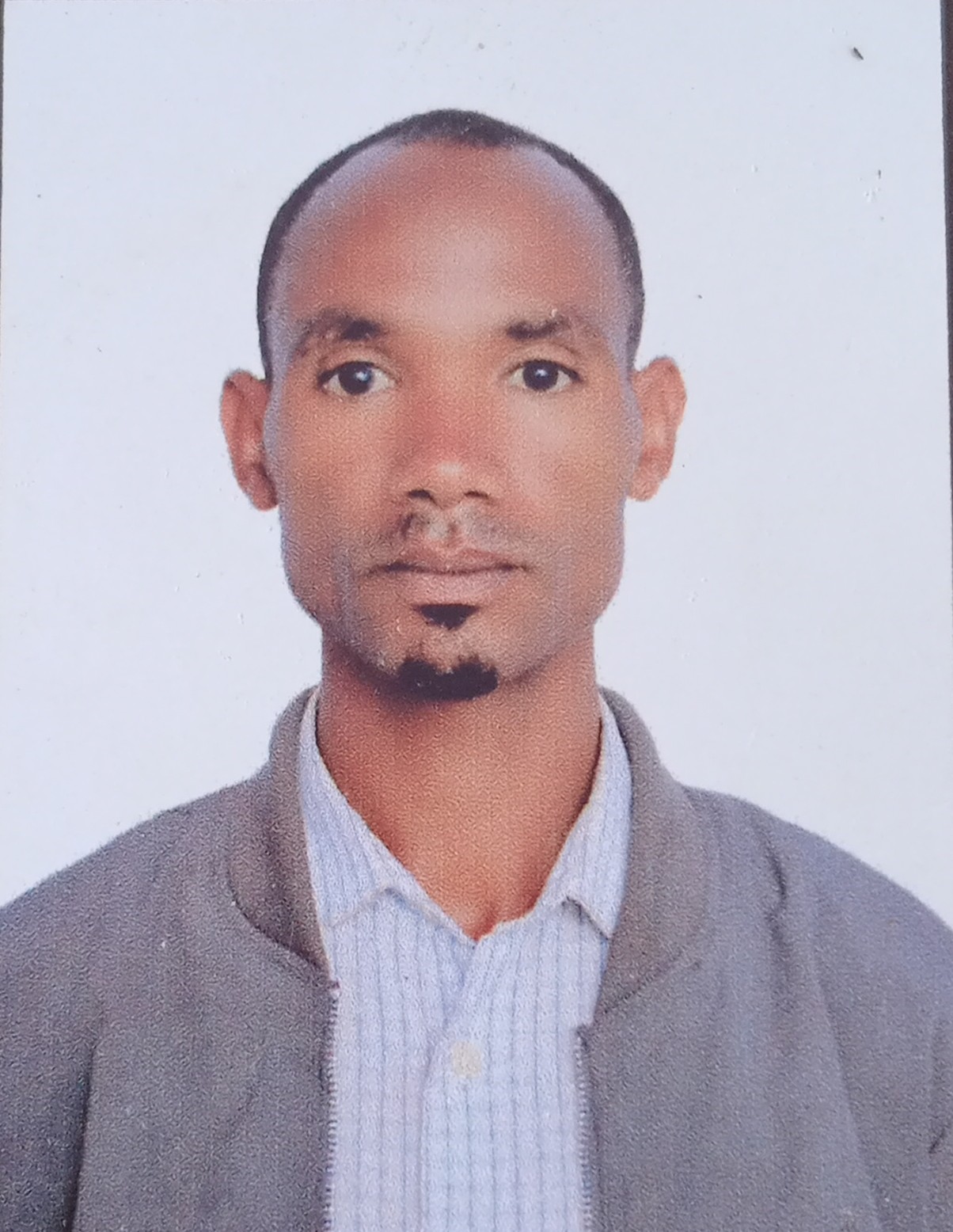 Figa Shaka Daro
