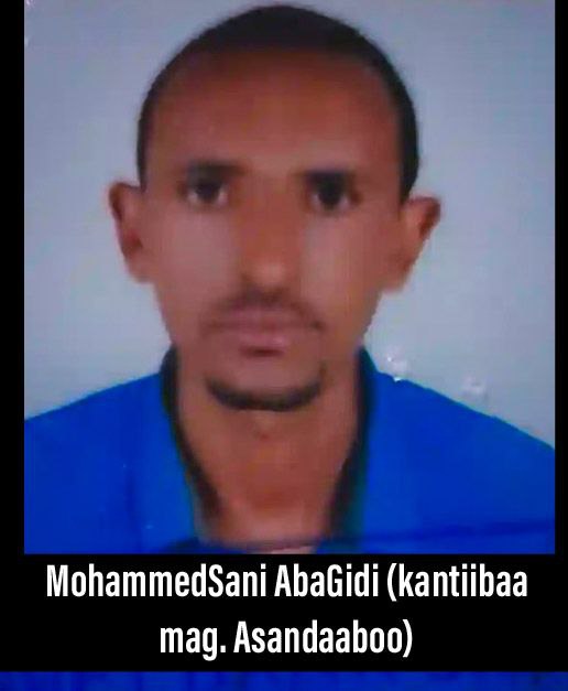 Mahamadsaanii A/Giddii