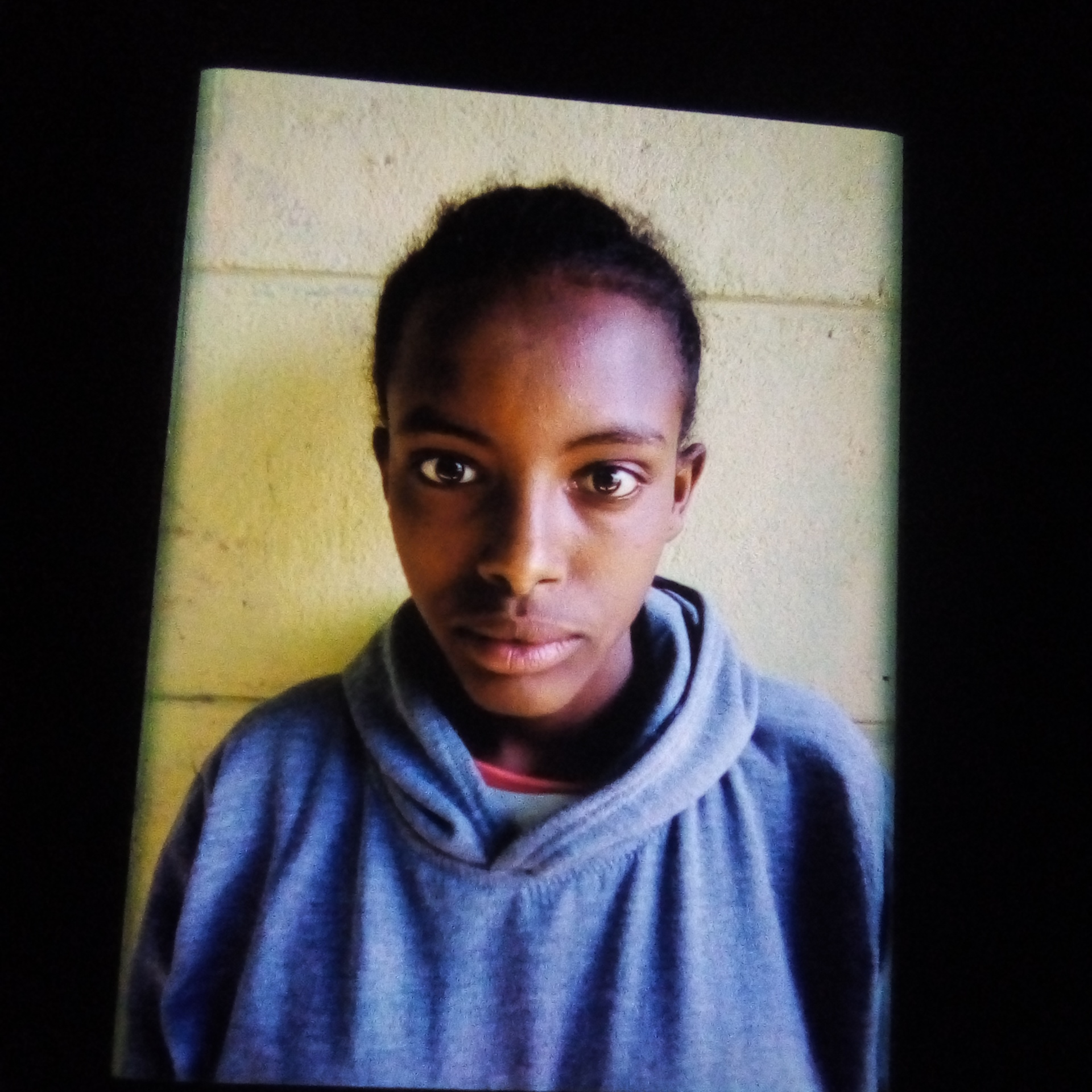 Asekale Haylegebereale