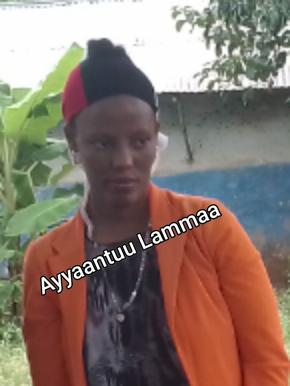 Ayyaantuu Lammaa