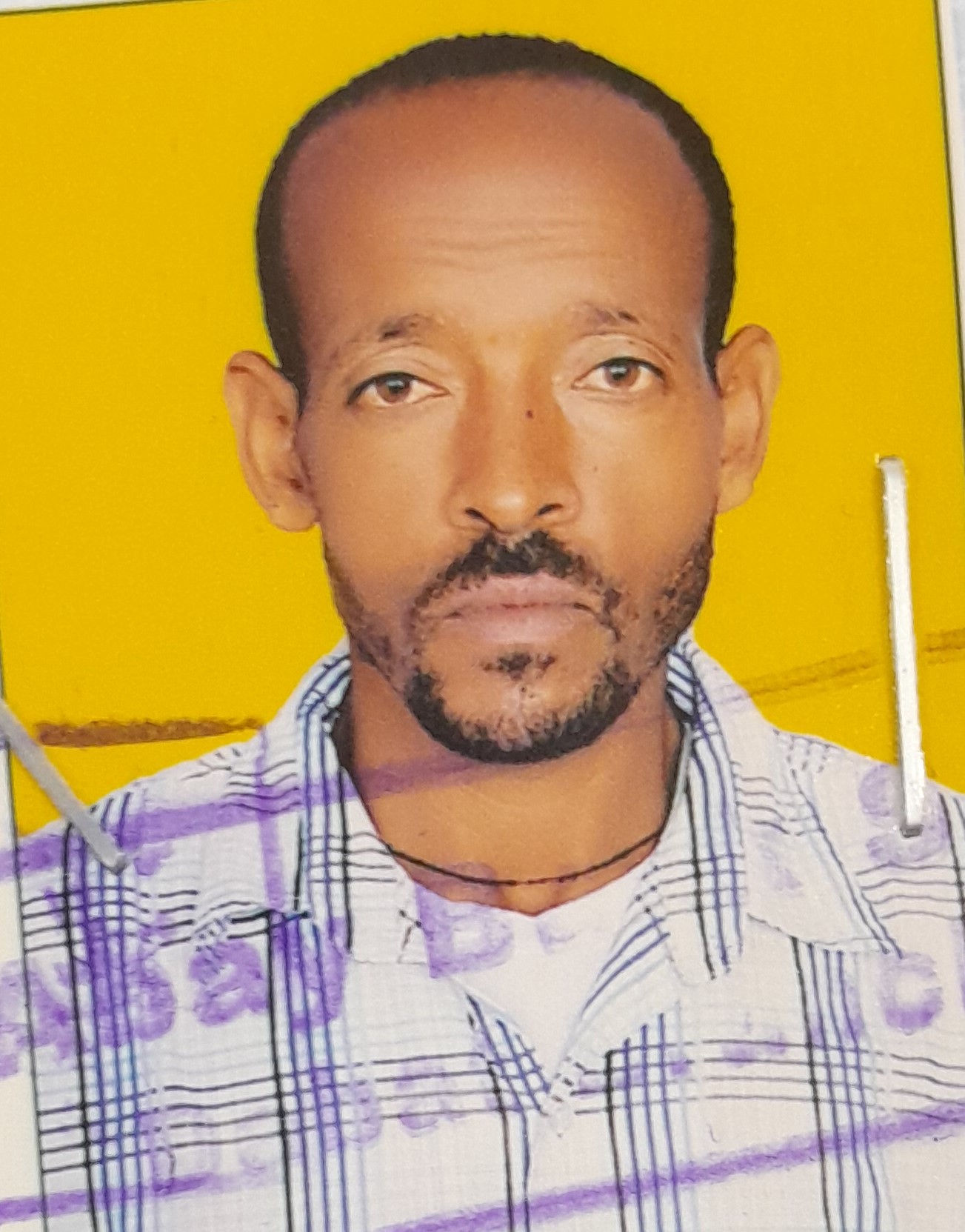 Mesganaw Abebe 