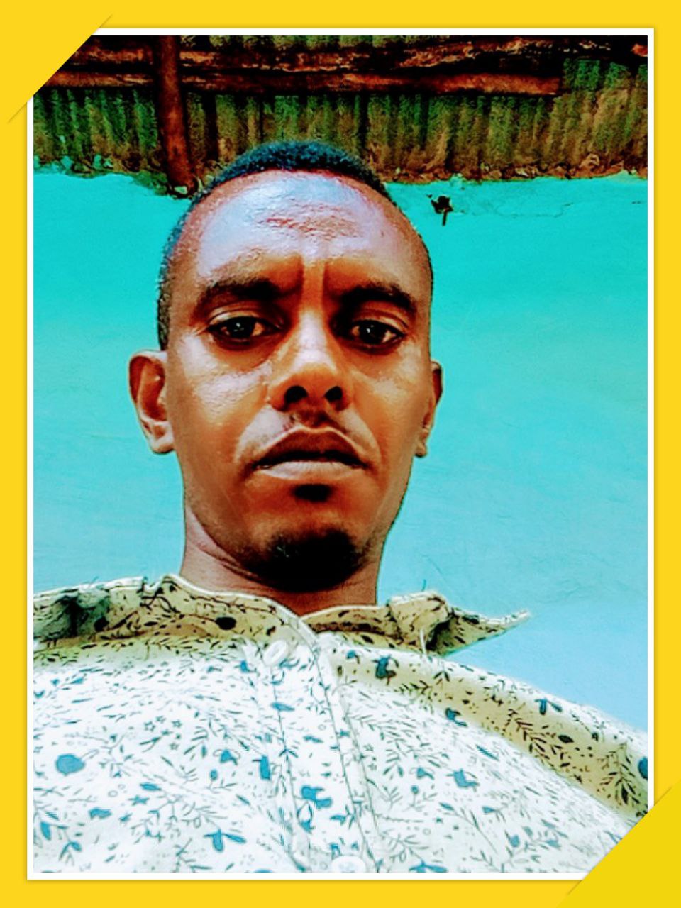 Diinoo Haashim