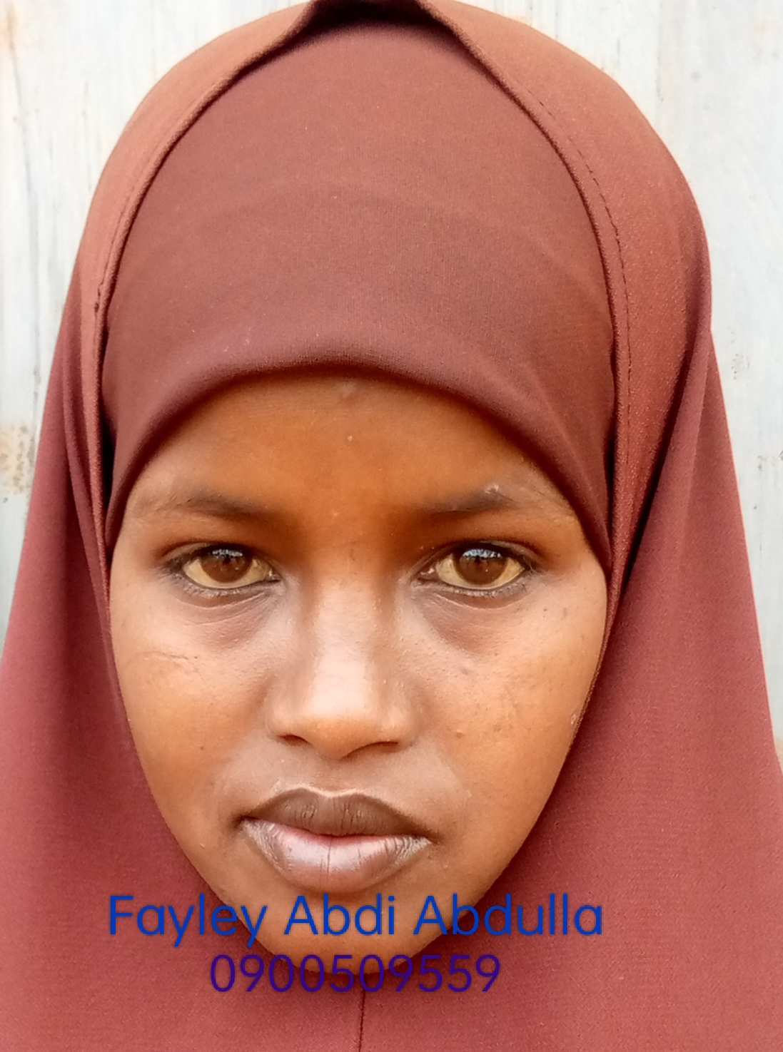 Fayley abdi abdula 