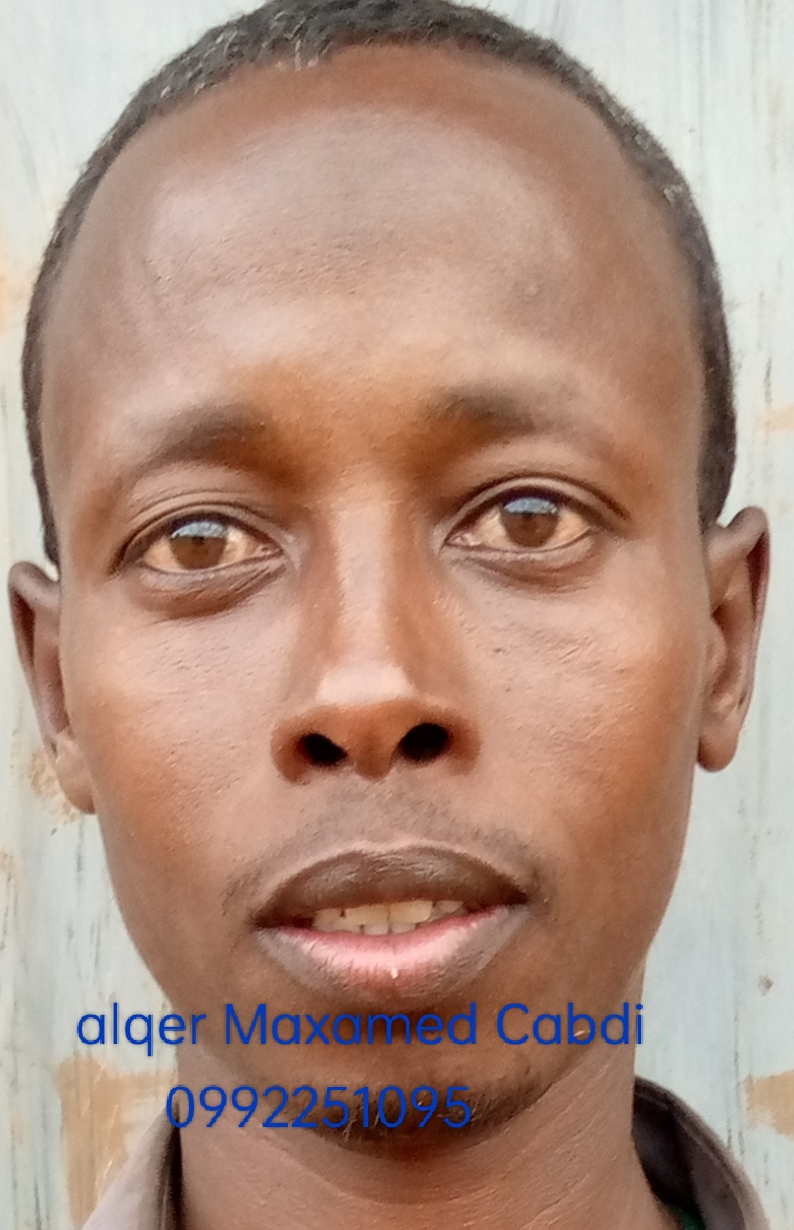 Alqer Maxamed Cabdi 