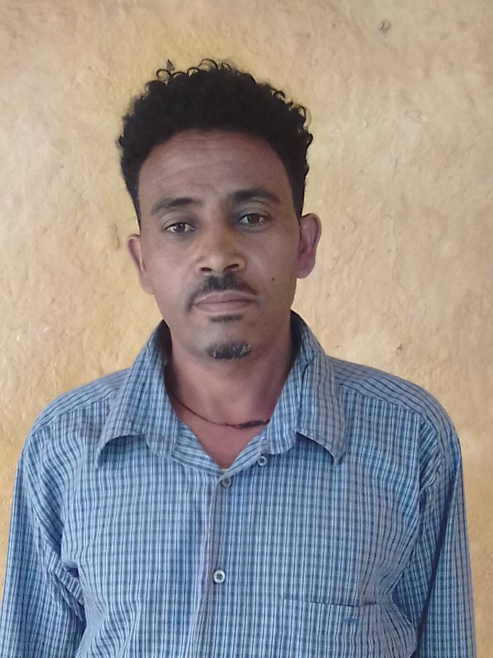 TARRAFAA GEETAACHAW SHIFARRAA