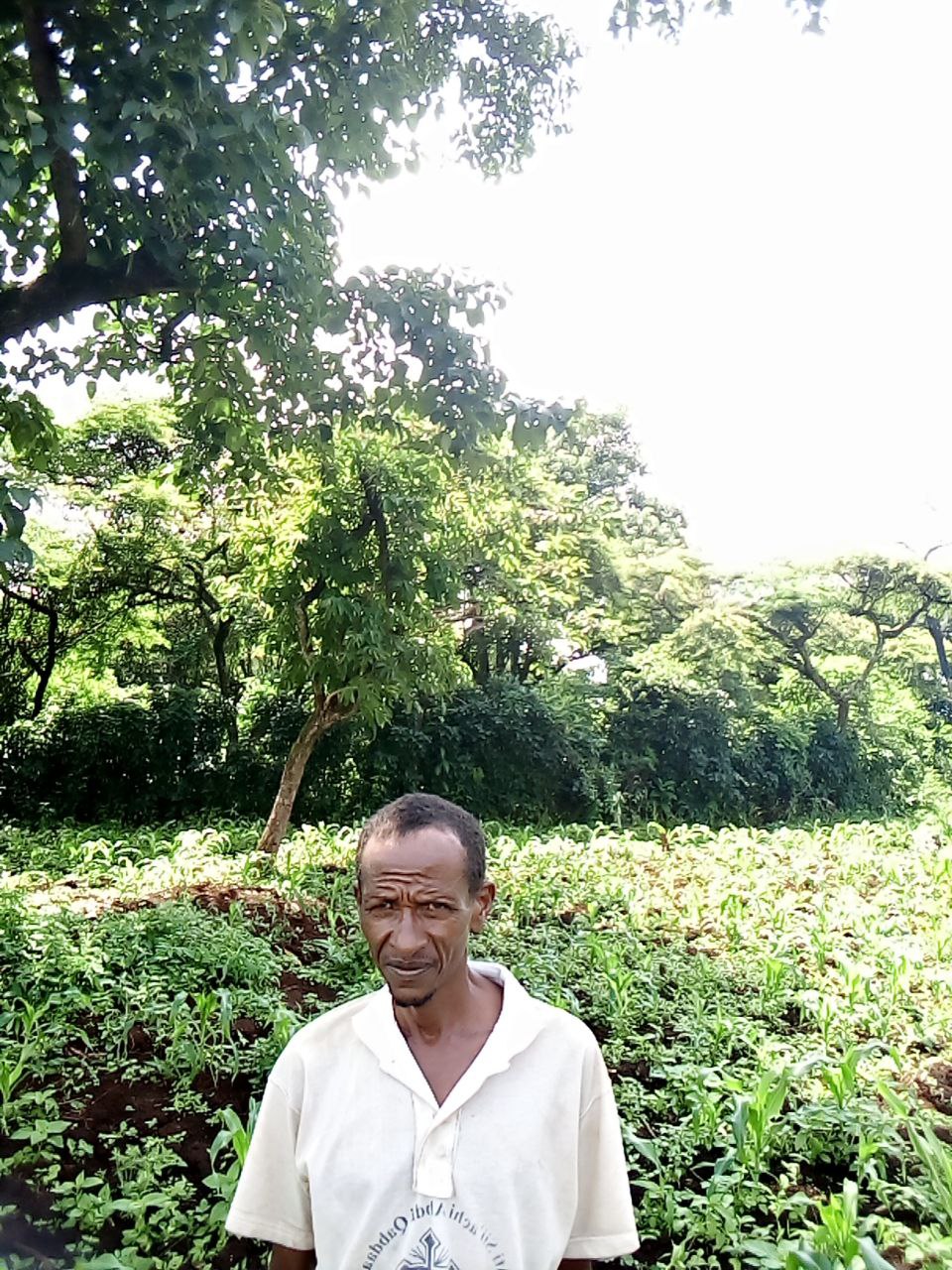  Taaddasaa fayyeeraa 