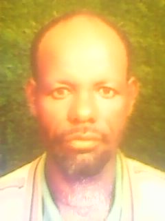 Dirribsaa Disaasaa Ribbii 