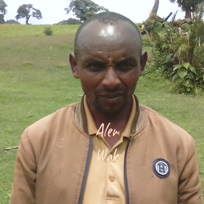Alemu Wako
